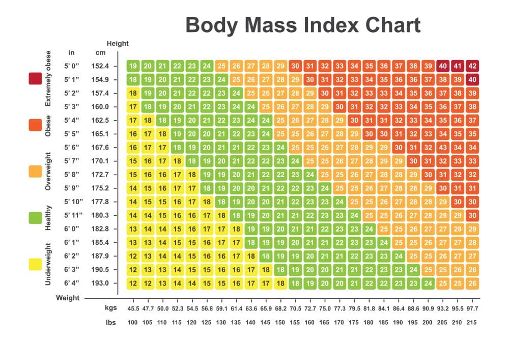 body mass index rechner
